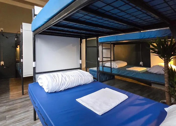 Cosmos Auberge de jeunesse *