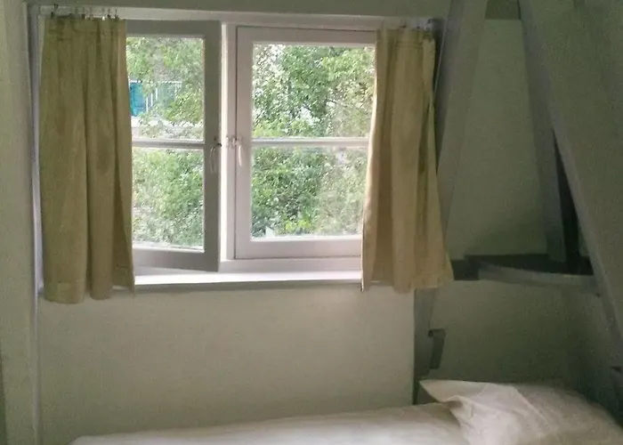 شباب كوزموس *